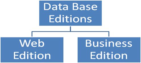 Business Edition DB includes